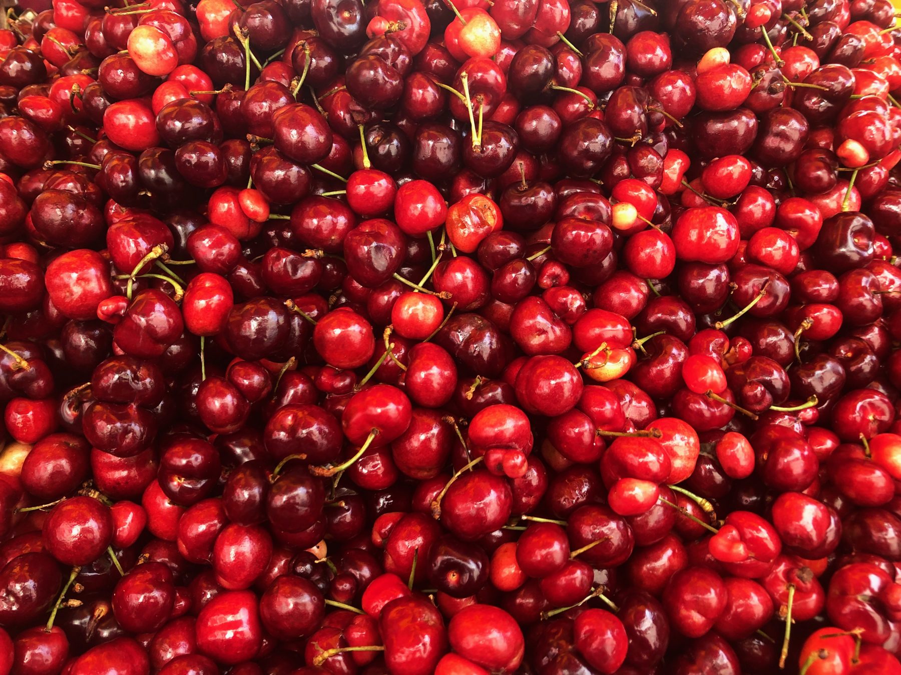29 August 2019 Posted.
Bing Cherries, Photograph taken by Hannah Baek.
冰樱，照片由MOCA实习生Hannah Baek拍摄