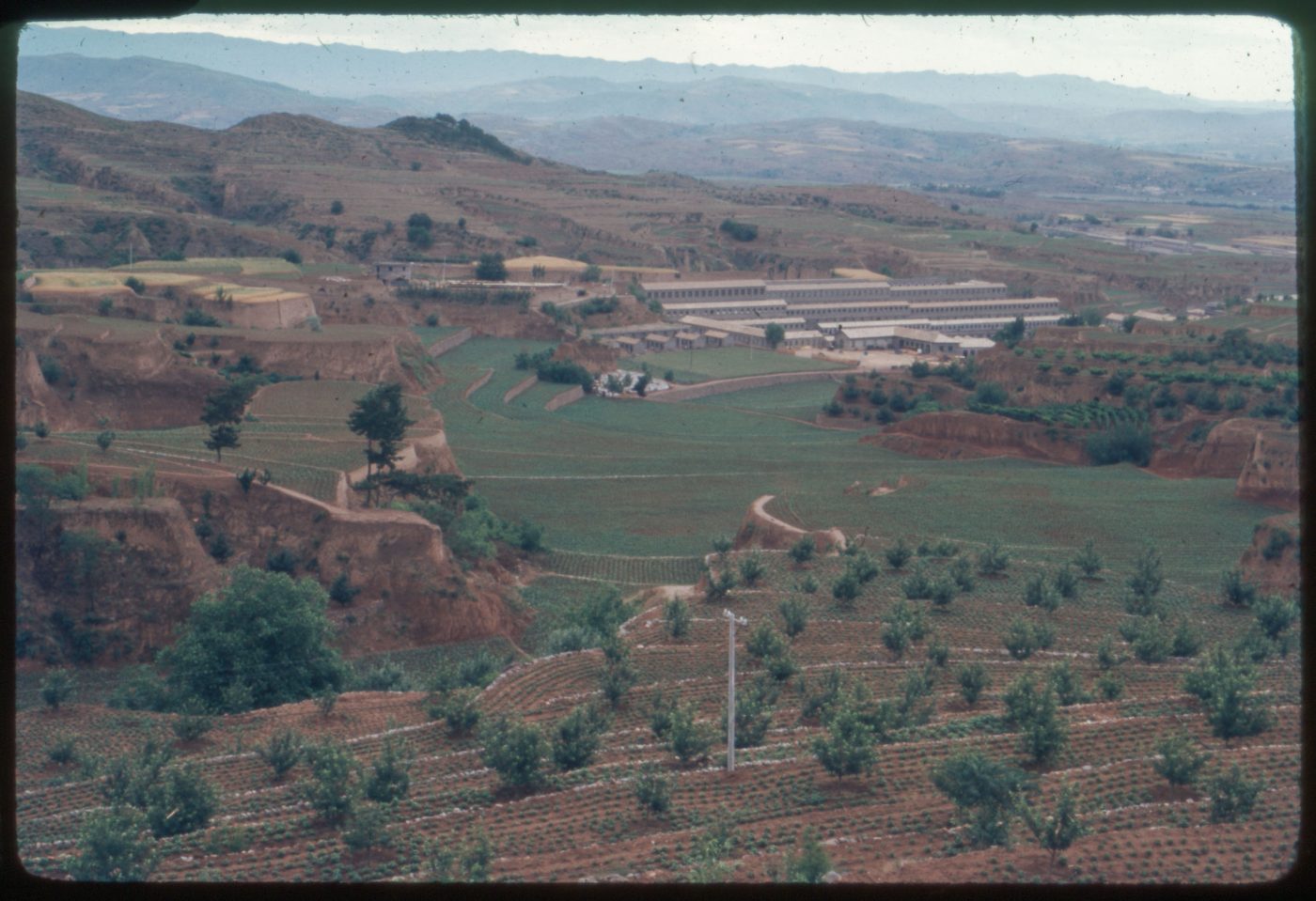 Terraced fields in China with a row of buildings visible in the background. Image taken by Janet Zobel, courtesy of Ben Pocock, Museum of Chinese in America (MOCA) Collection.