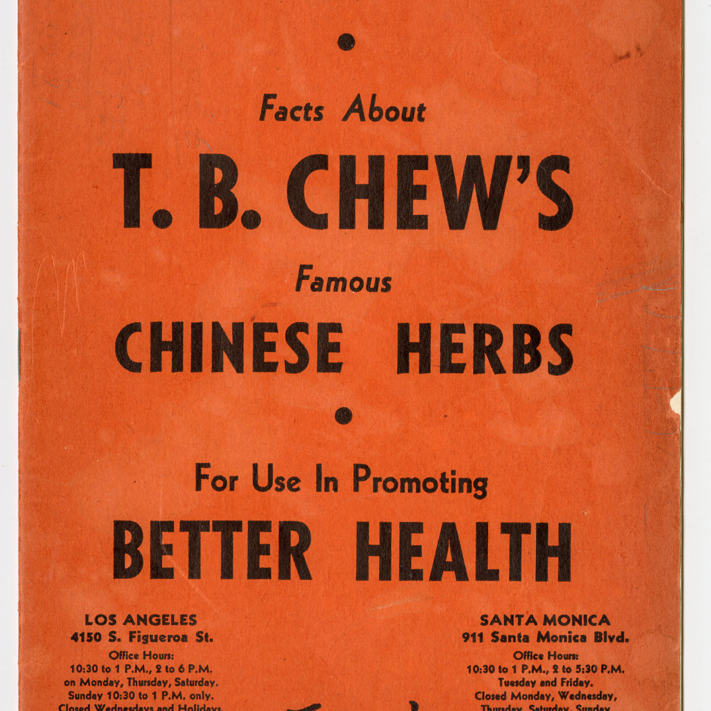 关于T.B. Chew's Famous Chinese Herbs 小册子中的一些事实。由 Roy Delbyck 捐赠，美国华人博物馆 (MOCA) 馆藏。