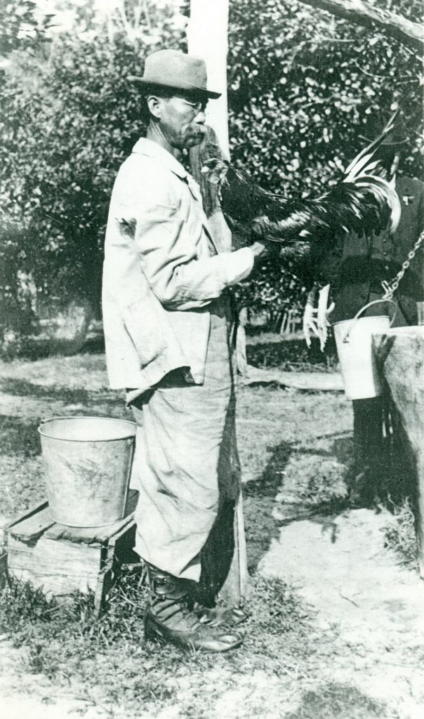 吕金功和他的宠物公鸡“三月”在佛罗里达州德兰市。照片来自佛罗里达州档案馆。